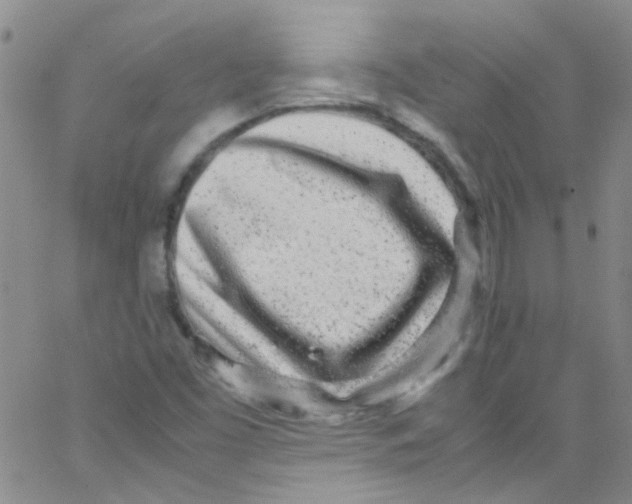 X0000062801453200601191937