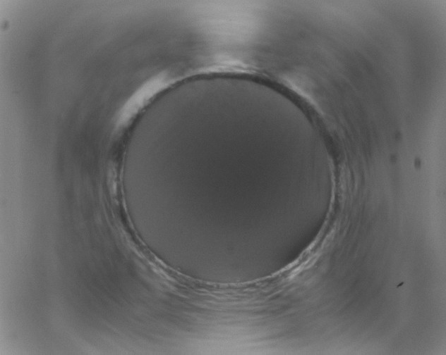 X0000062801455200601191937