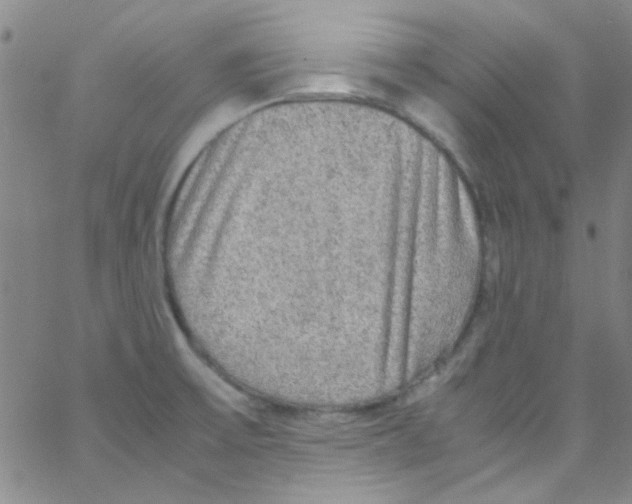 X0000062801475200601191937