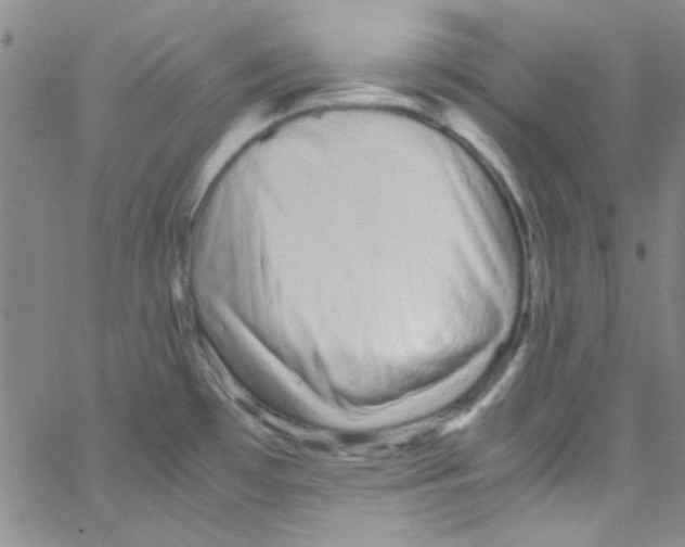 X0000062801481200601191937
