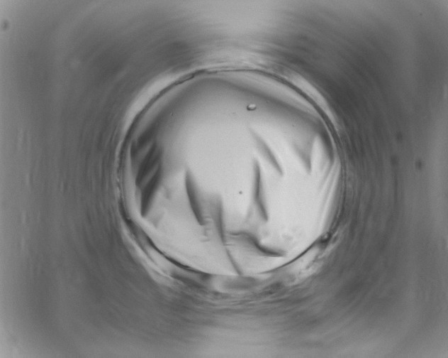 X0000062801485200601191936
