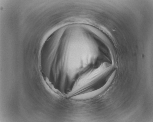 X0000062801528200601191936