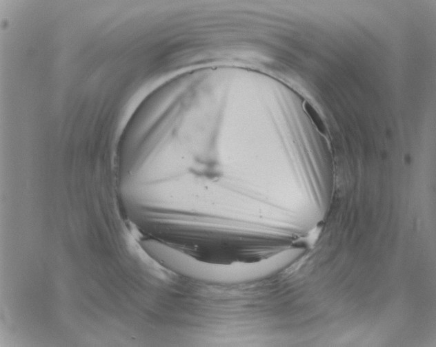 X0000062801532200601191936