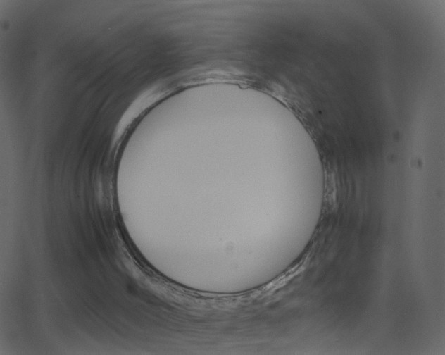 X0000062830004200601130926
