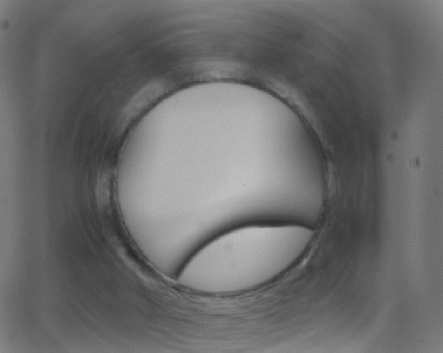 X0000062830010200601130926
