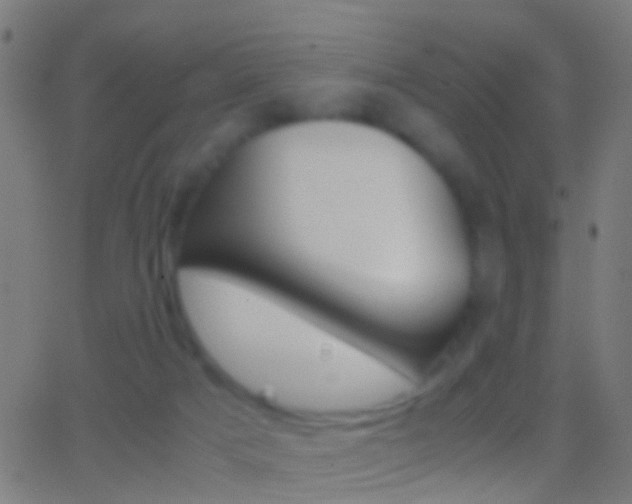 X0000062830025200601130926
