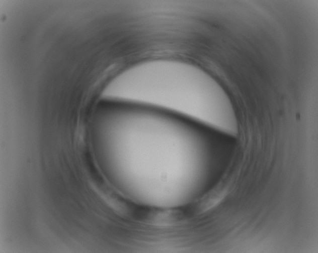 X0000062830072200601130925