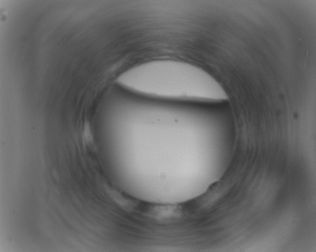 X0000062830089200601130925
