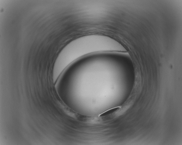 X0000062830096200601130926