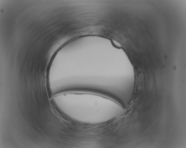 X0000062830100200601130925