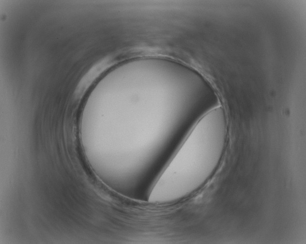 X0000062830103200601130925