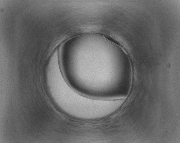 X0000062830105200601130925