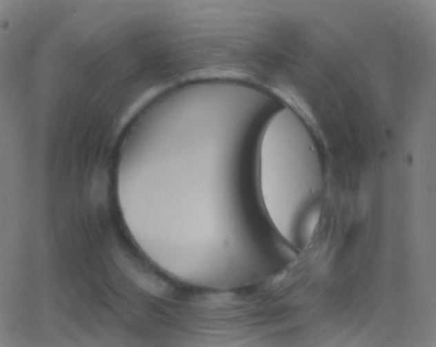 X0000062830108200601130925