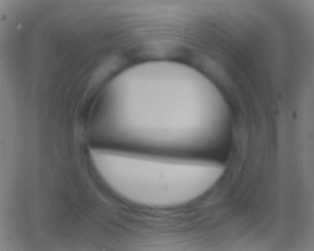 X0000062830119200601130924