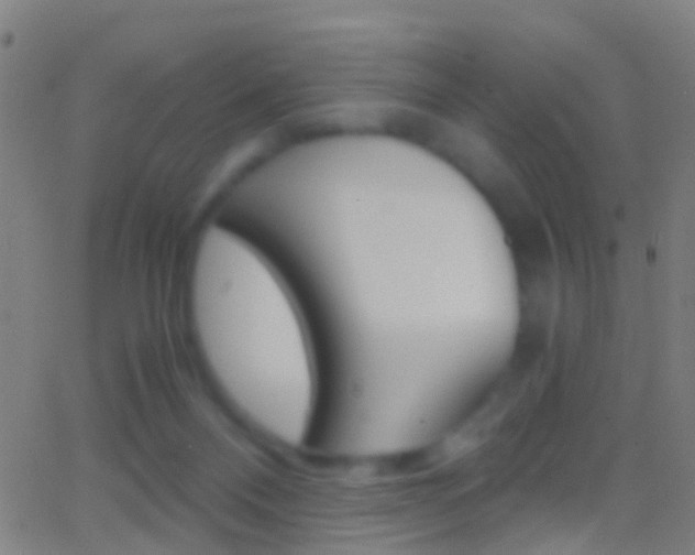 X0000062830120200601130924