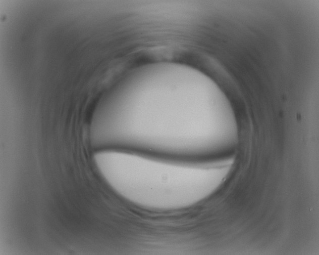 X0000062830125200601130924