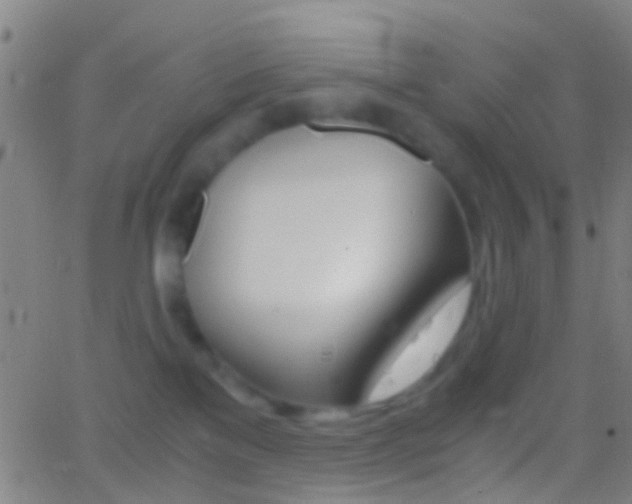 X0000062830137200601130924