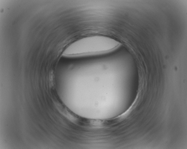 X0000062830144200601130924