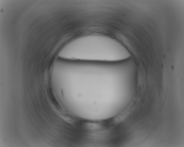 X0000062830167200601130923