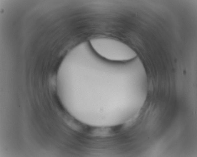 X0000062830179200601130924