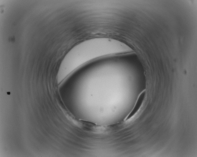 X0000062830192200601130924