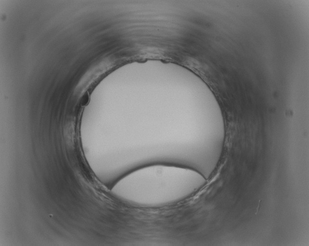 X0000062830194200601130923