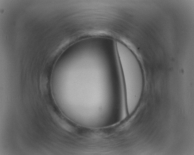 X0000062830201200601130923