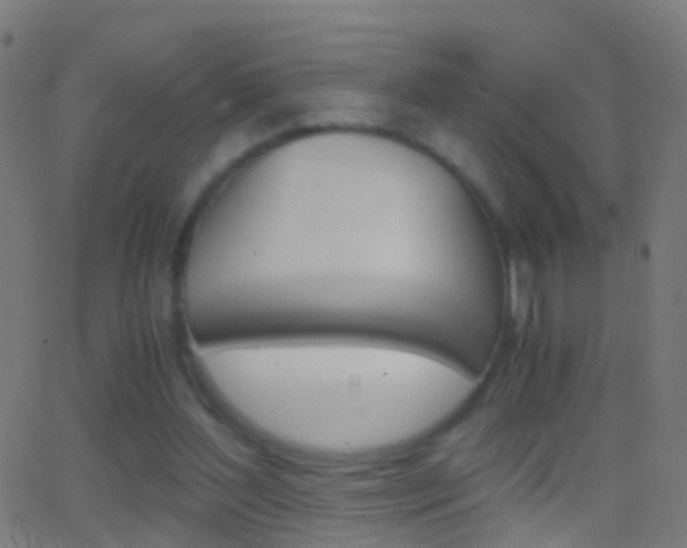 X0000062830204200601130923