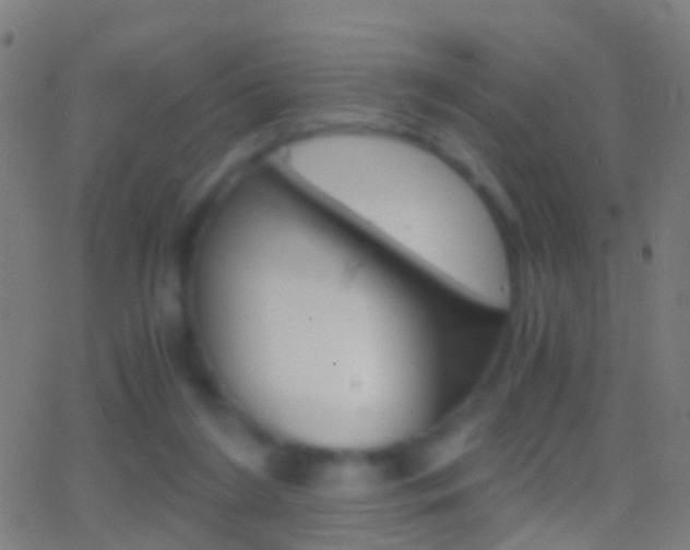 X0000062830212200601130923