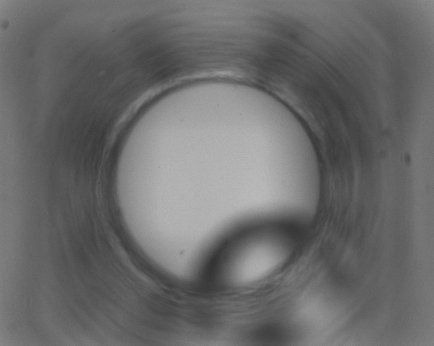 X0000062830252200601130922