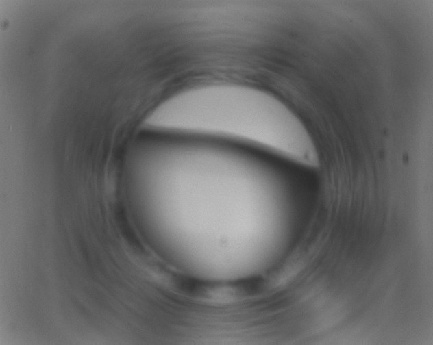 X0000062830268200601130922