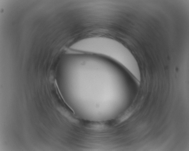 X0000062830284200601130922