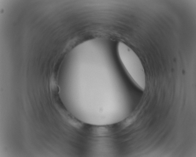 X0000062830287200601130922