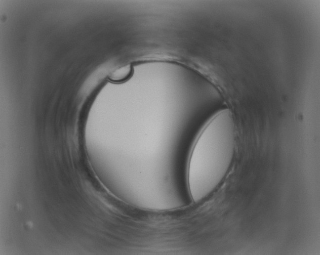 X0000062830296200601130921