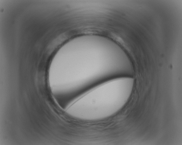 X0000062830299200601130921