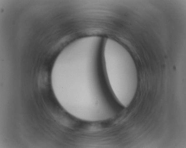 X0000062830308200601130921