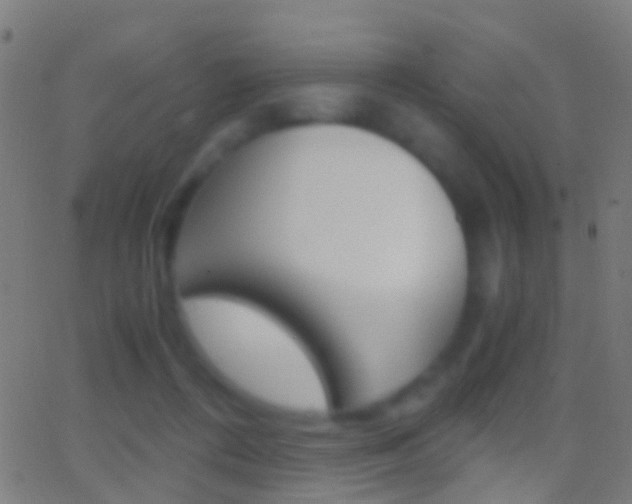 X0000062830312200601130921