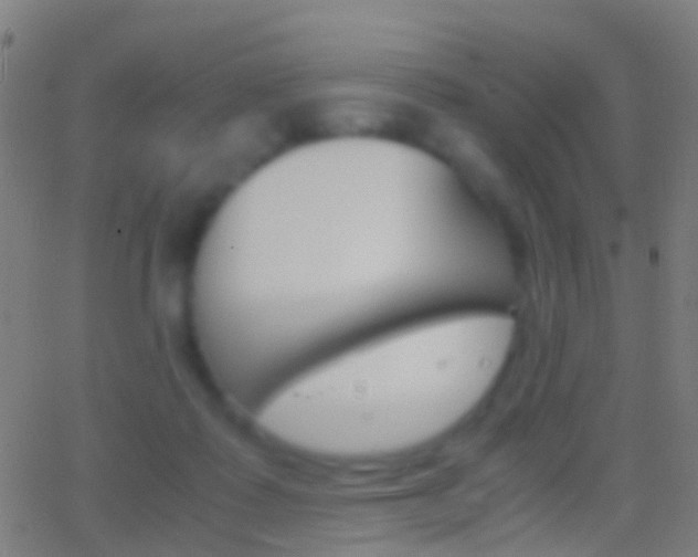 X0000062830315200601130921