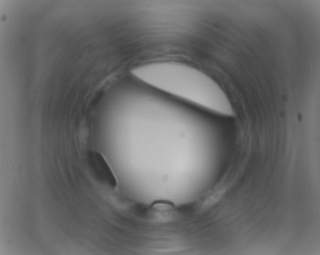 X0000062830372200601130920