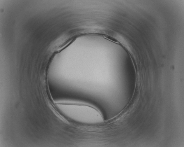 X0000062830389200601130920