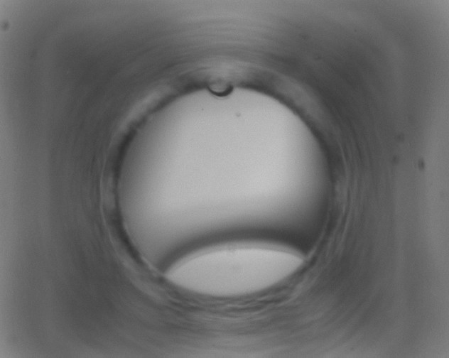 X0000062830403200601130919