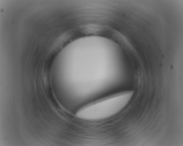 X0000062830408200601130919