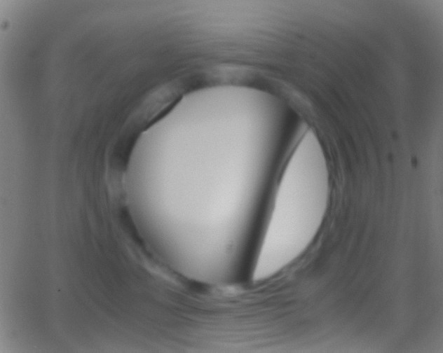 X0000062830429200601130919