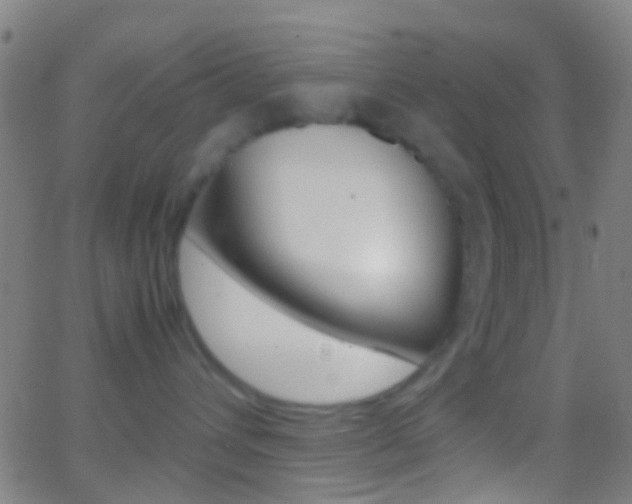 X0000062830432200601130919