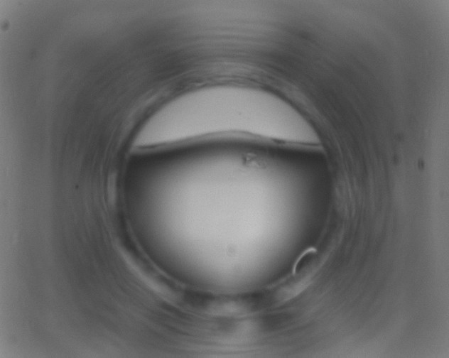 X0000062830454200601130919