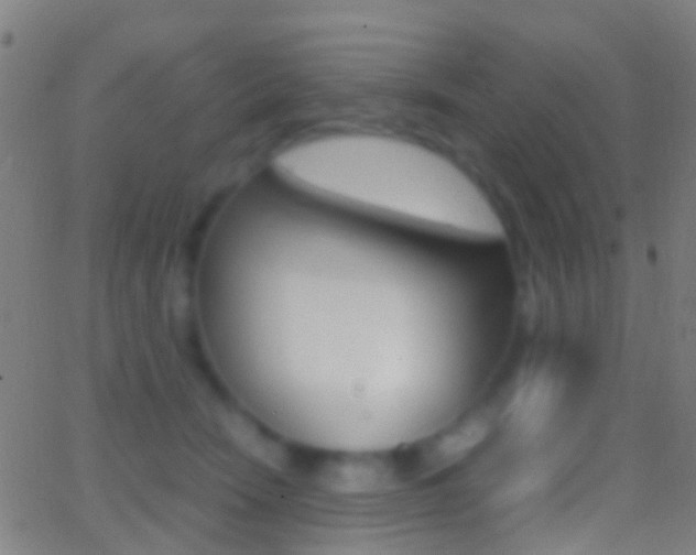 X0000062830466200601130919