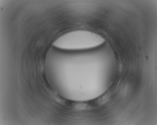 X0000062830471200601130919