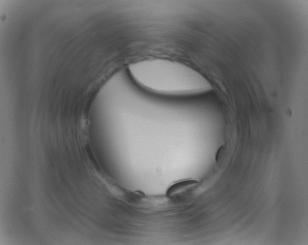 X0000062830480200601130919