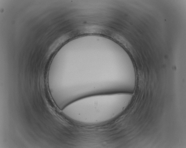 X0000062830482200601130918