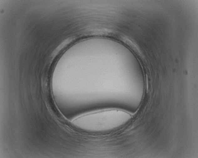 X0000062830483200601130918